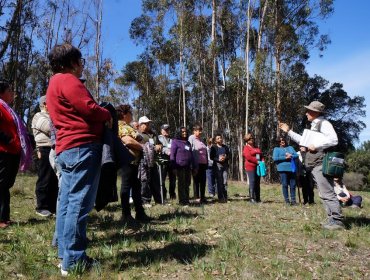 Adultos mayores de Casablanca vivieron inédito “baño de bosque” en la Reserva Nacional Lago Peñuelas