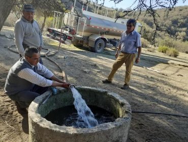 Municipalidad de Cabildo entregará más de 1.100 sacos de alimento a crianceros afectados por la sequía