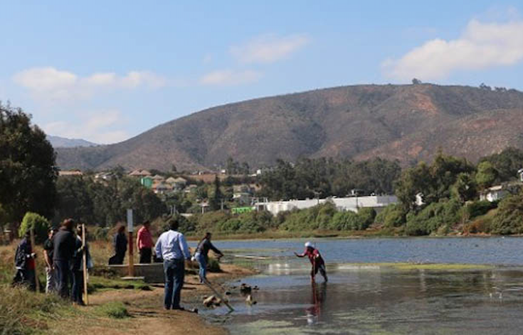 Denuncian que megafiesta en humedal de Cachagua destruiría el ecosistema y la biodiversidad