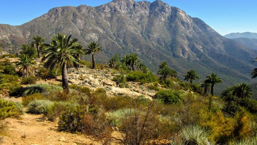 Conaf promueve visitas responsables a parques y reservas de la región de Valparaíso