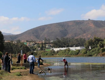 Denuncian que megafiesta en humedal de Cachagua destruiría el ecosistema y la biodiversidad