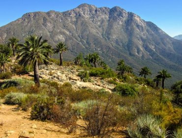 Conaf promueve visitas responsables a parques y reservas de la región de Valparaíso