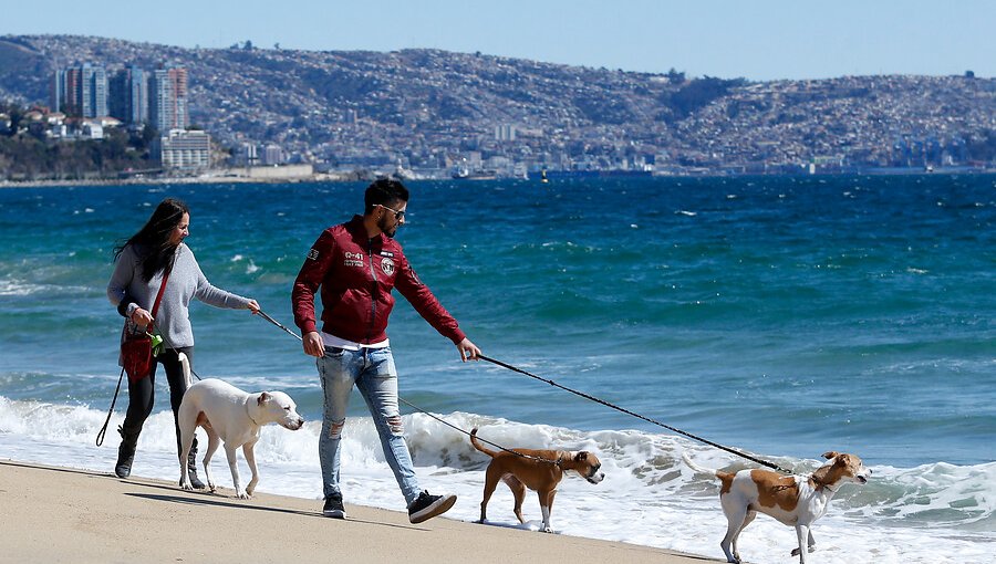 4,1 millones de personas viajarán por Chile durante estas Fiestas Patrias: cifra aumentó 14,6%