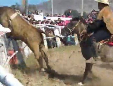 [VÍDEO] Diez personas lesionadas tras embestida de un Toro en rodeo de Huasco