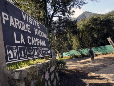 Rescatan a mujer de 57 años tras sufrir caída en el cerro La Campana