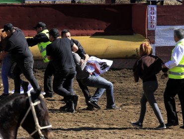 ONG Animal Libre con figuras públicas detienen rodeo en Parque Padre Hurtado