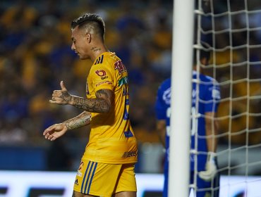 DT de Vargas en Tigres salió ileso tras protagonizar accidente automovilístico