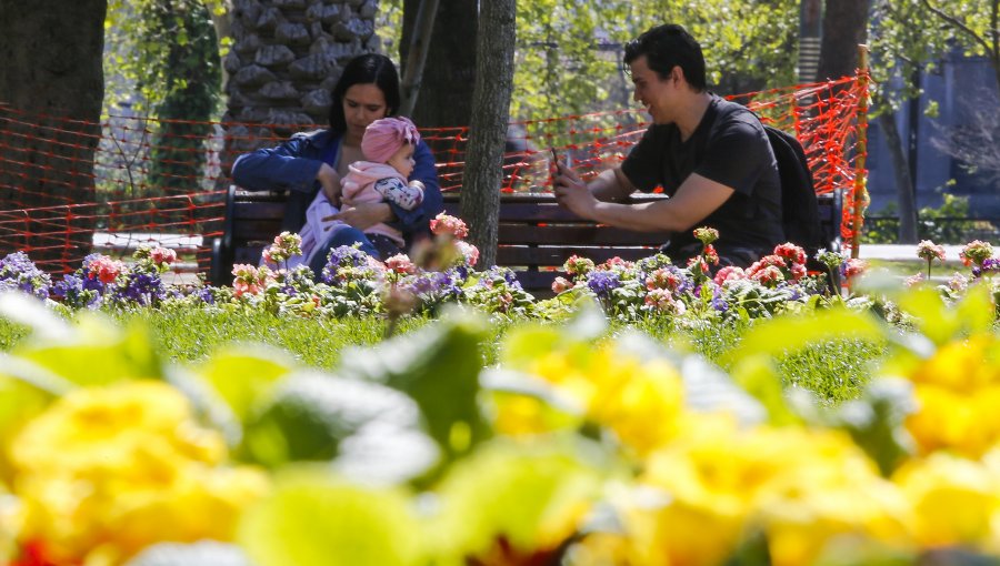 SHOA explica que primavera comienza oficialmente próximo lunes a las 4:50 horas