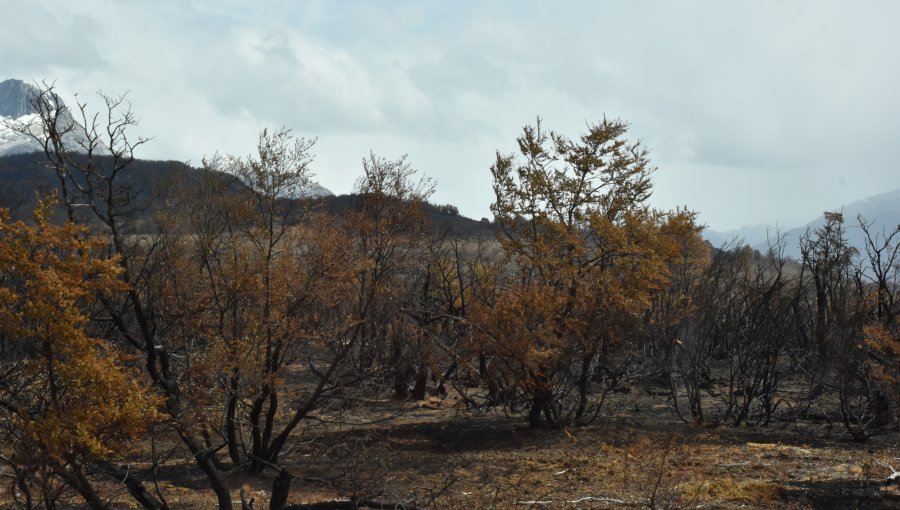 Declaran alerta temprana preventiva para cuatro regiones por amenaza de incendio