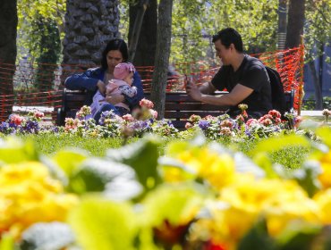 SHOA explica que primavera comienza oficialmente próximo lunes a las 4:50 horas