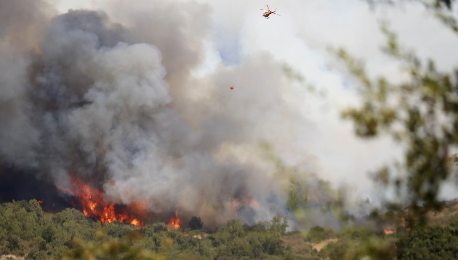 Decretan alerta roja en Valparaíso por incendio forestal en la Ruta 68