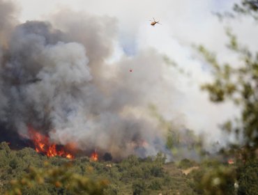 Decretan alerta roja en Valparaíso por incendio forestal en la Ruta 68