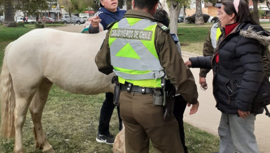 Operativo contra el comercio ambulante de Viña terminó en agresión a inspector municipal y carabineros