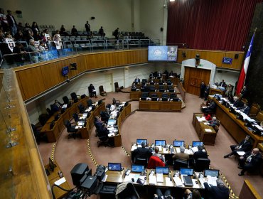 Senado aprobó en general la "Ley Gabriela" que amplía el femicidio al pololeo