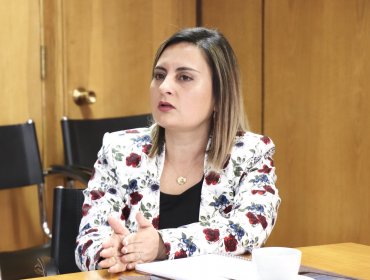 Caso luminarias: Seremi de Gobierno hace llamado al alcalde Luis Mella a "no ser la piedra de tope" y dejar de lado "mezquindades políticas"