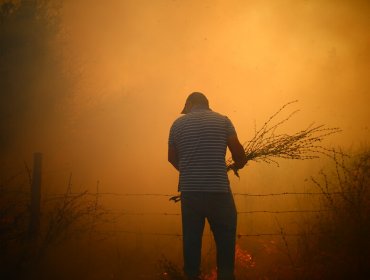 Alerta Preventiva en cuatro regiones por riesgo de incendio forestal debido a altas temperaturas