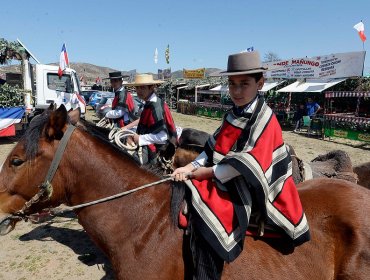 Destacan carácter familiar y seguro de las celebraciones de Fiestas Patrias en Limache