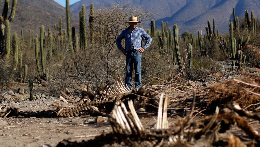 Gobierno no descarta aumento de precios en frutas, carnes y hortalizas producto de la grave sequía