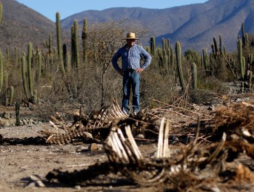 Gobierno no descarta aumento de precios en frutas, carnes y hortalizas producto de la grave sequía