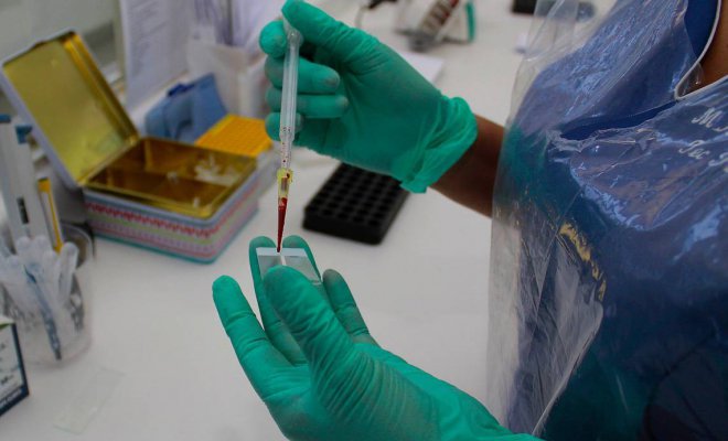 Confirman nuevo caso de contagio de virus Hanta en la región de Los Lagos