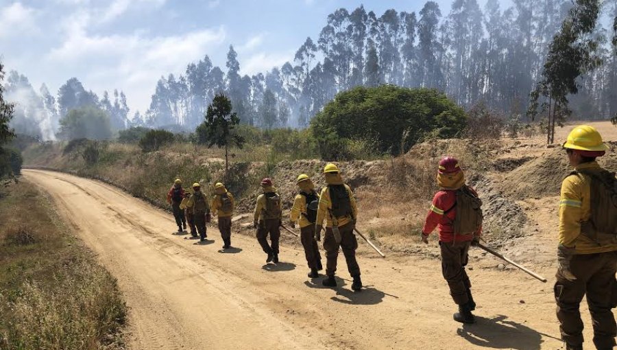 Conaf extiende indefinidamente el proceso de reclutamiento de brigadistas en la región de Valparaíso