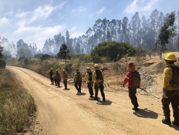 Conaf extiende indefinidamente el proceso de reclutamiento de brigadistas en la región de Valparaíso