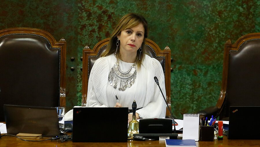 Vicepresidenta de la Cámara de Diputados: "Como oposición dimos un triste espectáculo"