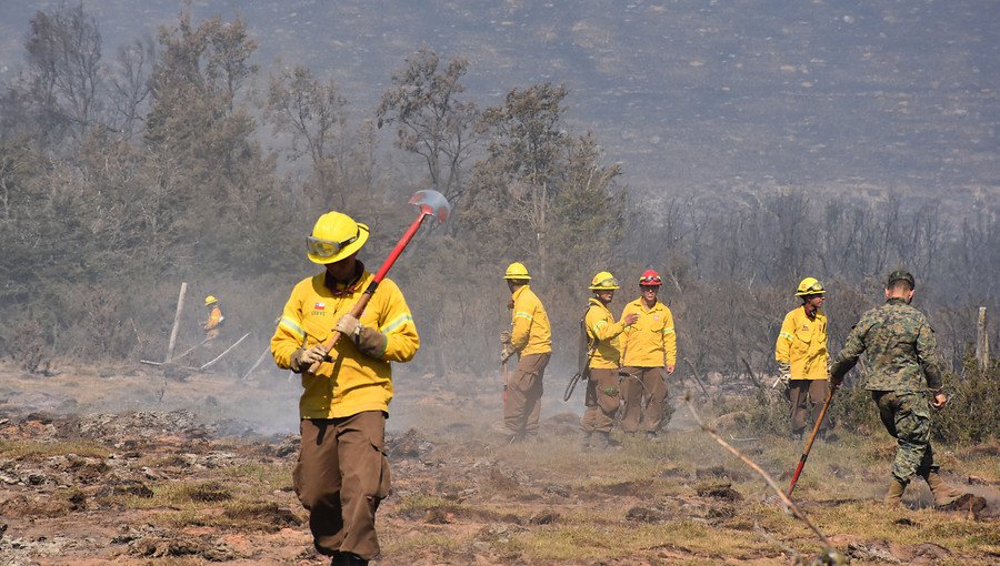 Cuatro regiones están con Alerta Temprana Preventiva por posibles incendios forestales