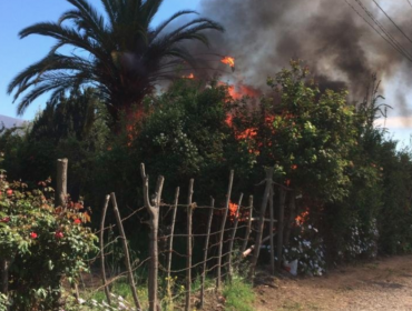 Cuatro casas resultaron afectadas por incendio estructural en Putaendo