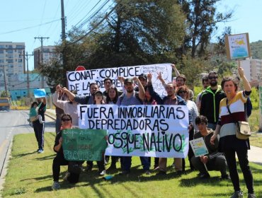 Protesta por tala de árboles en sector de Quilpué terminó con los vecinos detenidos