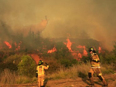 Intendente de Valparaíso apunta a intencionalidad de incendio forestal en Curauma