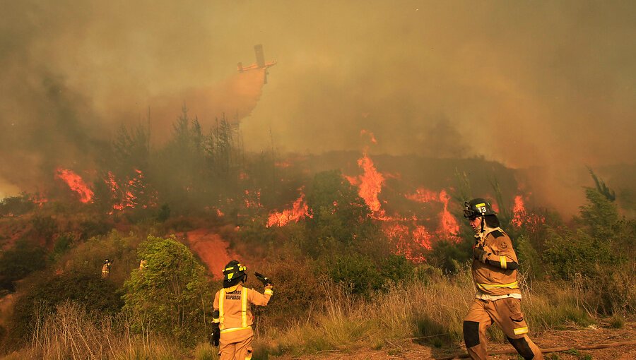 Intendente de Valparaíso apunta a intencionalidad de incendio forestal en Curauma