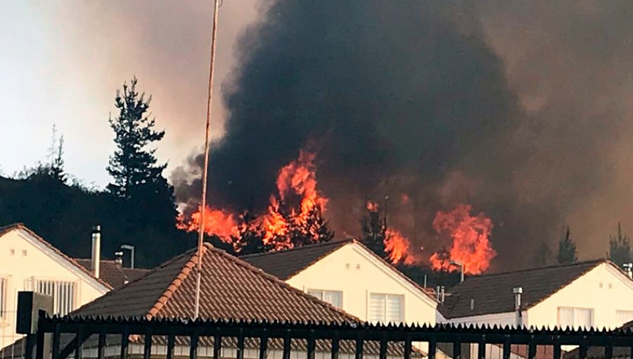 Incendio en Curauma: Jorge Sharp interpuso querella criminal por indicios de intencionalidad