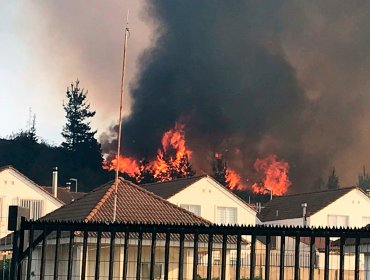 Incendio en Curauma: Jorge Sharp interpuso querella criminal por indicios de intencionalidad