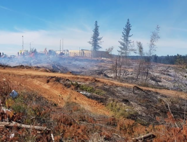 Conaf: Incendio forestal en Curauma permanece con actividad, pero con baja intensidad