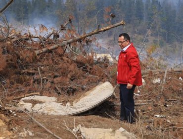 Intendente de Valparaíso expresó su preocupación por alta presencia de basura en zona incendiada en Curauma