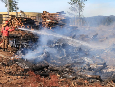 Mantienen Alerta Roja por incendio forestal que ha consumido casi 40 hectáreas en Curauma