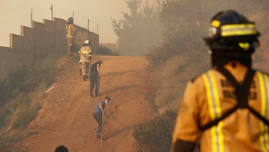 Mantienen Alerta Roja en Valparaíso: 15 hectáreas ha consumido incendio forestal en Curauma