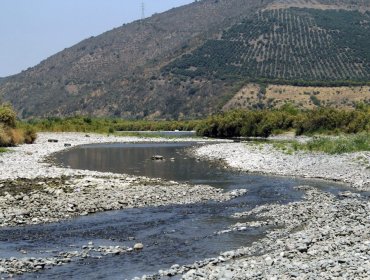 Limache, Hijuelas y La Calera solicitan intervención del río Aconcagua para asegurar riegos a sus agricultores