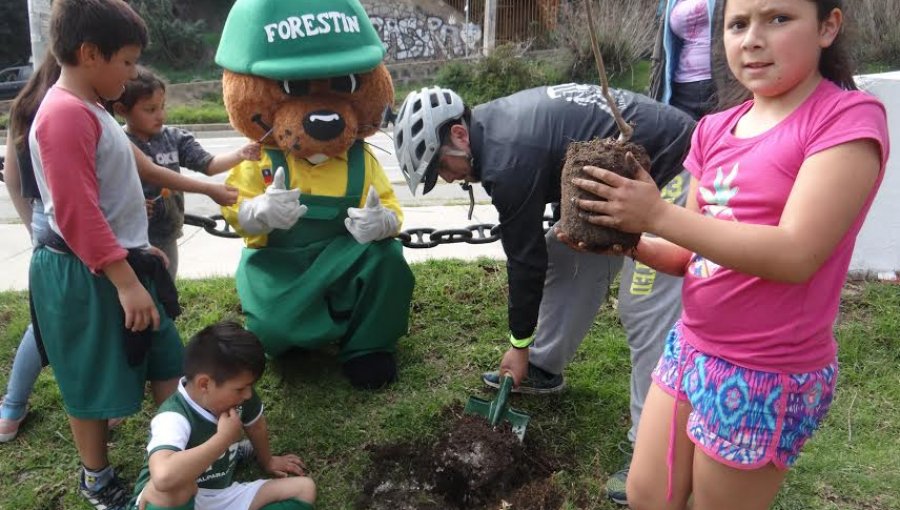 Valparaíso cuenta con 70 nuevos árboles en playa Las Torpederas y plazas Rubén Darío y Los Loros