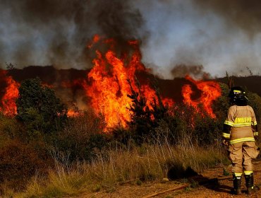 Incendios forestales: las cinco comunas de Valparaíso que Onemi definió como "zonas más complejas"