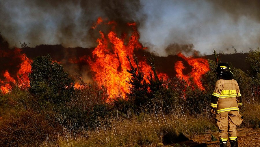 Incendios forestales: las cinco comunas de Valparaíso que Onemi definió como "zonas más complejas"