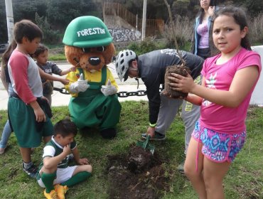 Valparaíso cuenta con 70 nuevos árboles en playa Las Torpederas y plazas Rubén Darío y Los Loros