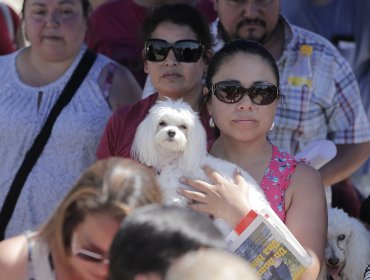 Disponen dos mil microchips gratuitos en fiesta mascotera del Parque O'Higgins