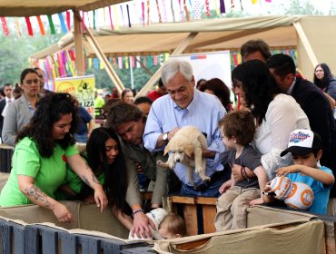 Presidente Piñera da el vamos a evento de tenencia responsable de mascotas