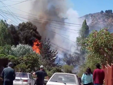 Propagación de incendio forestal a viviendas de Santa Julia pudo ser controlada: fuego ha consumido 2.000 metros cuadrados