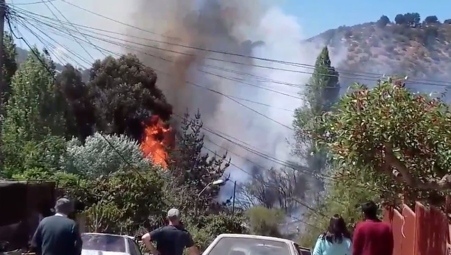 Propagación de incendio forestal a viviendas de Santa Julia pudo ser controlada: fuego ha consumido 2.000 metros cuadrados