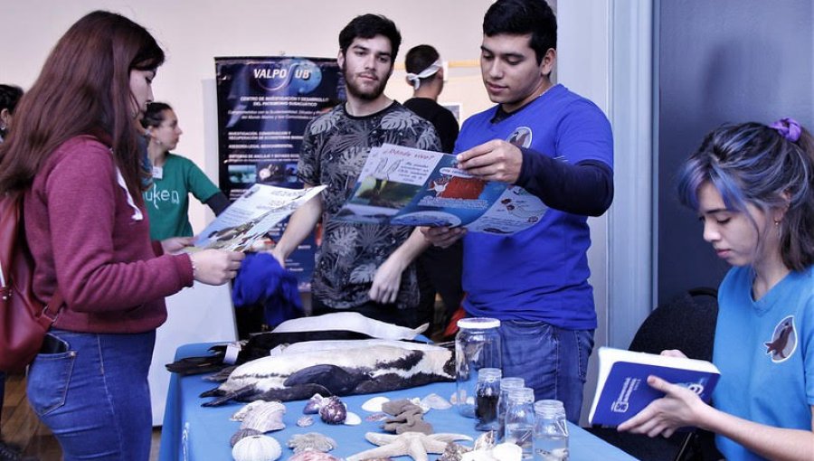 Museo de Historia Natural de Valparaíso organiza feria por el medio ambiente