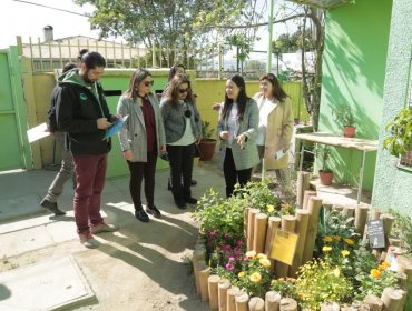 Colegio Luis Cruz Martínez de Quilpué cerró exitoso proyecto FPA de “Huertos Bio-Diversos”