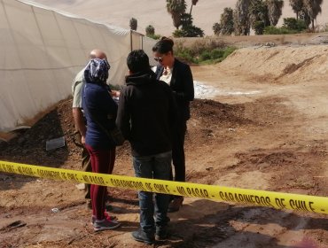 Menor de tres años muere ahogado en piscina de regadío en Arica